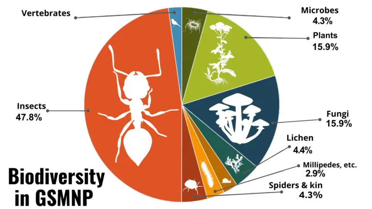 All-Taxa Biodiversity Inventories (ATBIs) ATBIs aim to document every species within a defined geographic area. One of the most prominent examples is the Great Smoky Mountains ATBI, which integrates taxonomists, molecular methods, and citizen scientists. Such projects highlight the need for centralized access to identification resources and standardized taxonomic frameworks—core objectives of IdentifyLife.