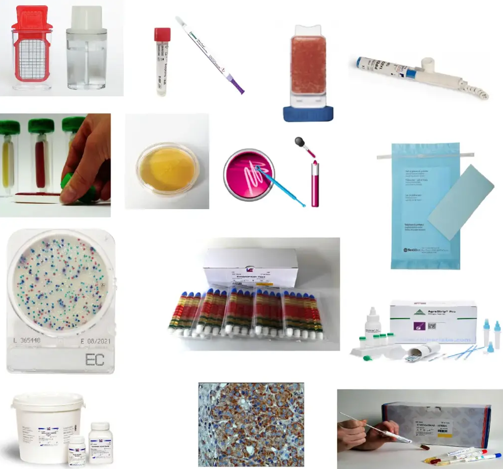 KIT DE COLORATION DE GRAM LF 80293