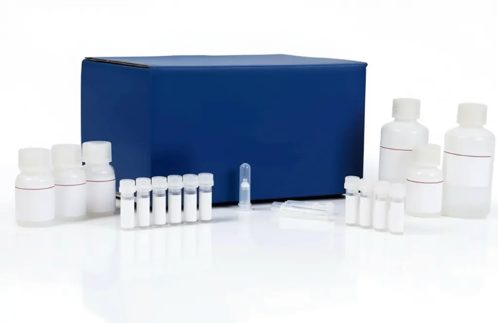 Polyclonal Antibody to Calcitonin  (anti-CT)