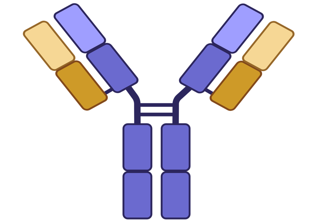 ELISA Kit for Anti-Actin Antibody  (anti-Anti-ACTIN)