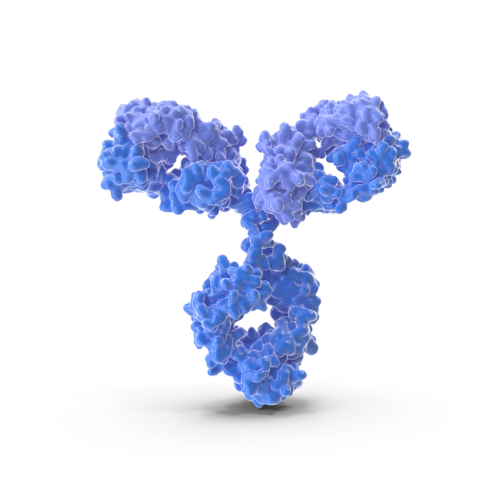 Aconitase 1  (anti-ACO1) Polyclonal Antibody 