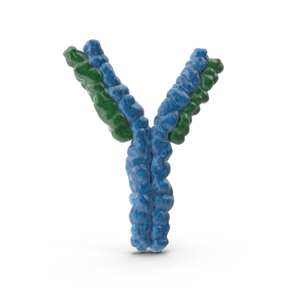 Adiponectin  (anti-ADP) Polyclonal Antibody 