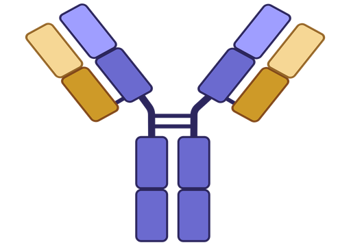 [MAA500Hu22-01] Monoclonal Antibody to Nestin  (anti-NES)