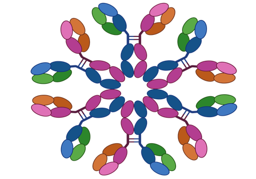 [HY-P80650] eIF4A1 Antibody (YA774)