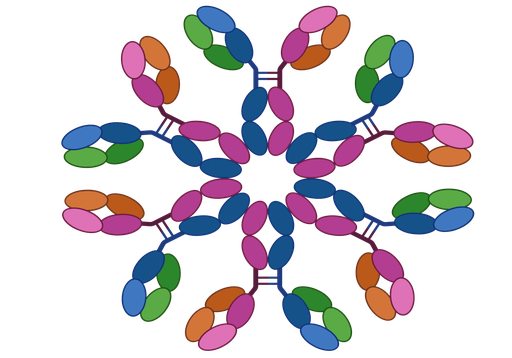 [PAB160Hu01-200ul-FITC] Target Of The Antiproliferative Antibody 1  (anti-TAPA1) Polyclonal Antibody 
