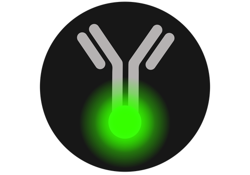 [PAA084Ra01-02] Polyclonal Antibody to Leptin  (anti-LEP)